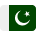 Pakistan national flag icon symbolizing country identity